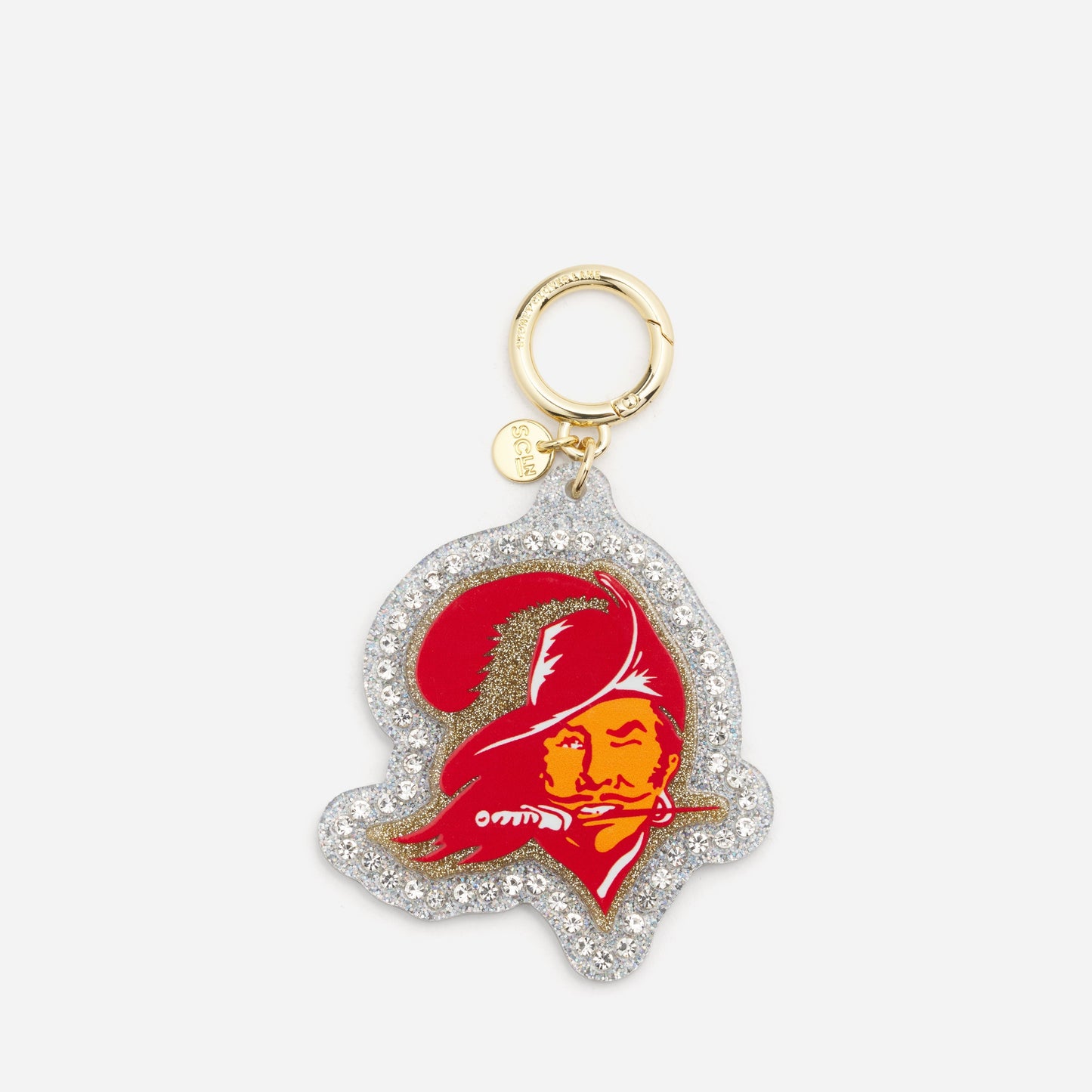 Tampa Bay Buccaneers Pirate Resin Charm