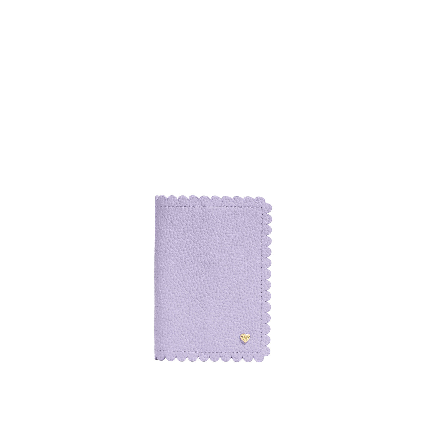 Pittsford Passport Case