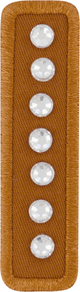 Camel Rhinestone Letter Patch