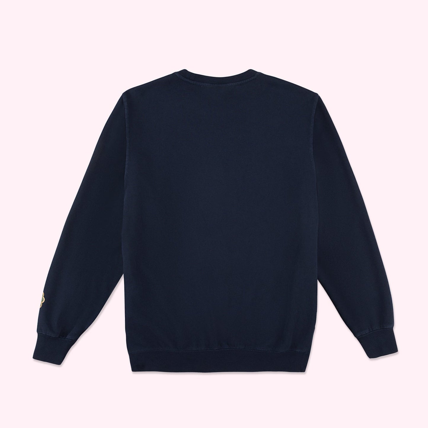 Sophomore Year Sapphire Sweatshirt