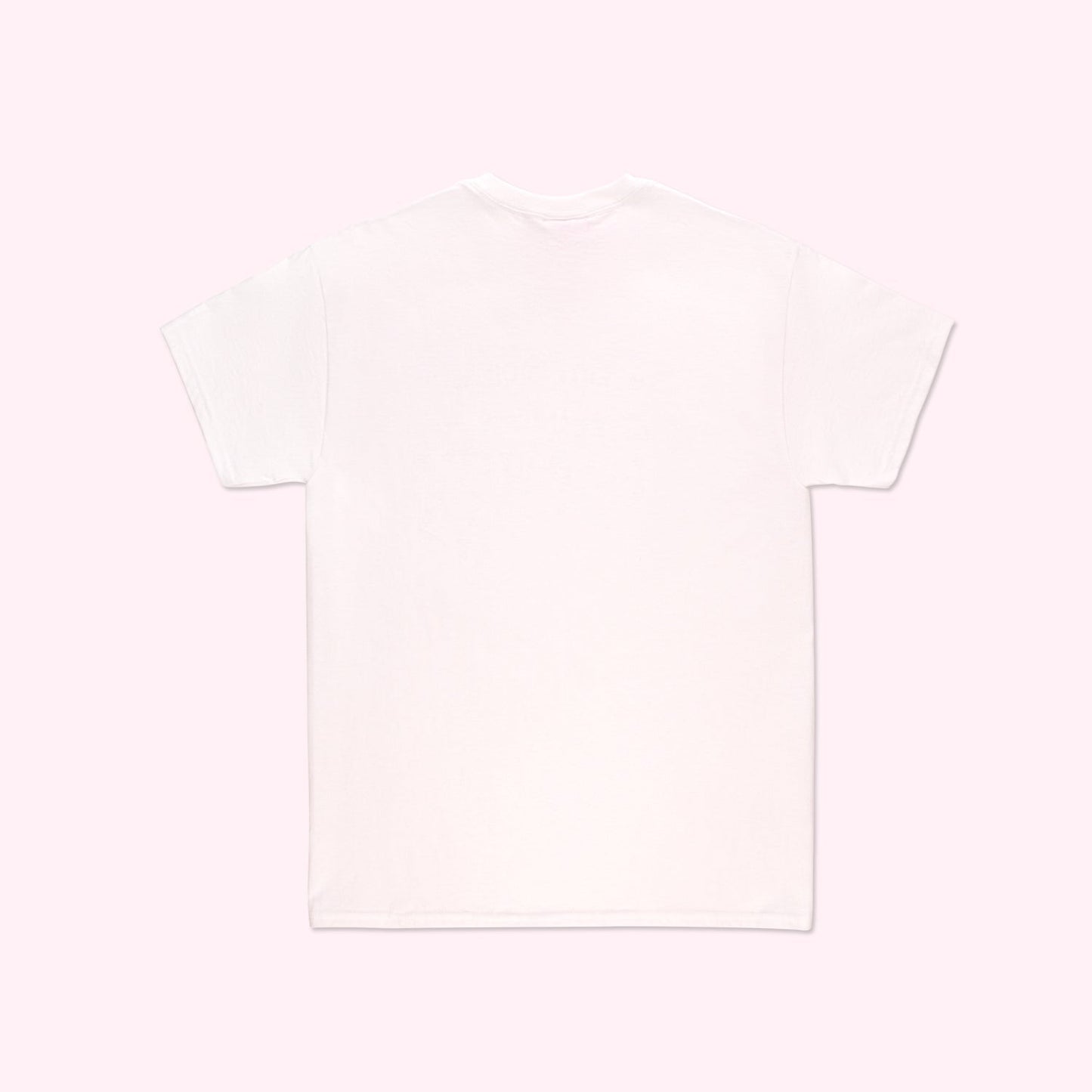 Sophomore Year T-Shirt