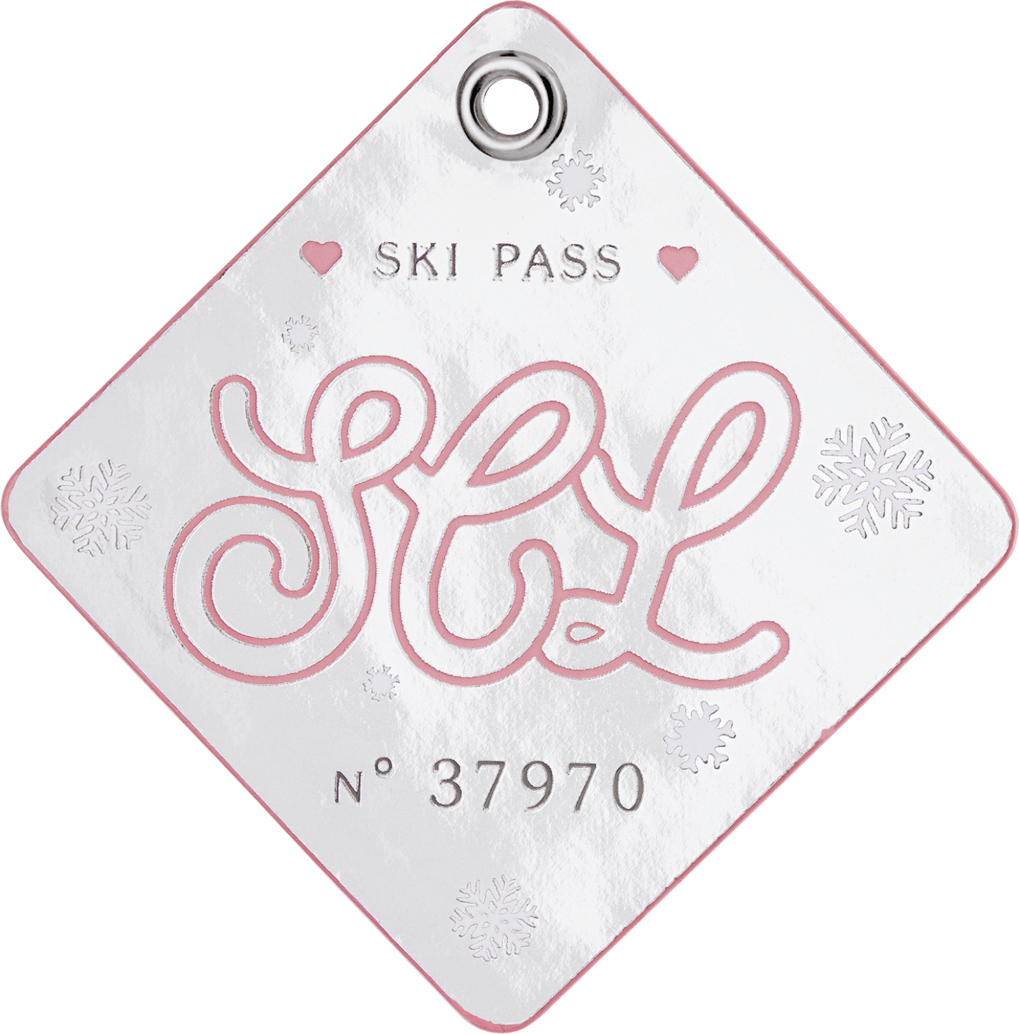 Ski Pass Patch