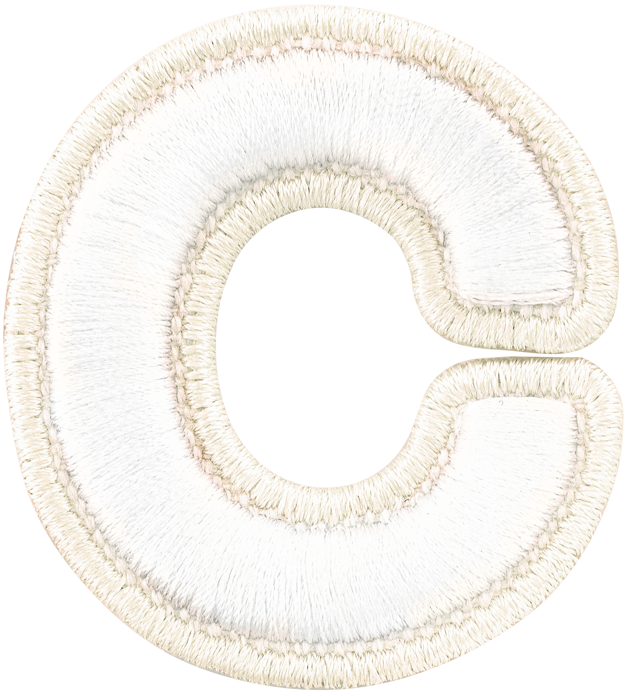 Blanc Rolled Embroidery Letter Patch