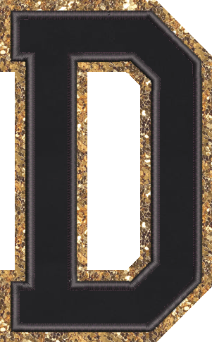 Jumbo Noir Glitter Varsity Letter Patch