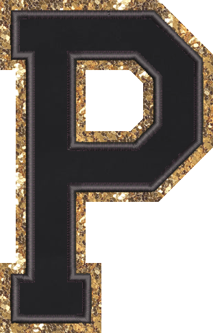 Jumbo Noir Glitter Varsity Letter Patch