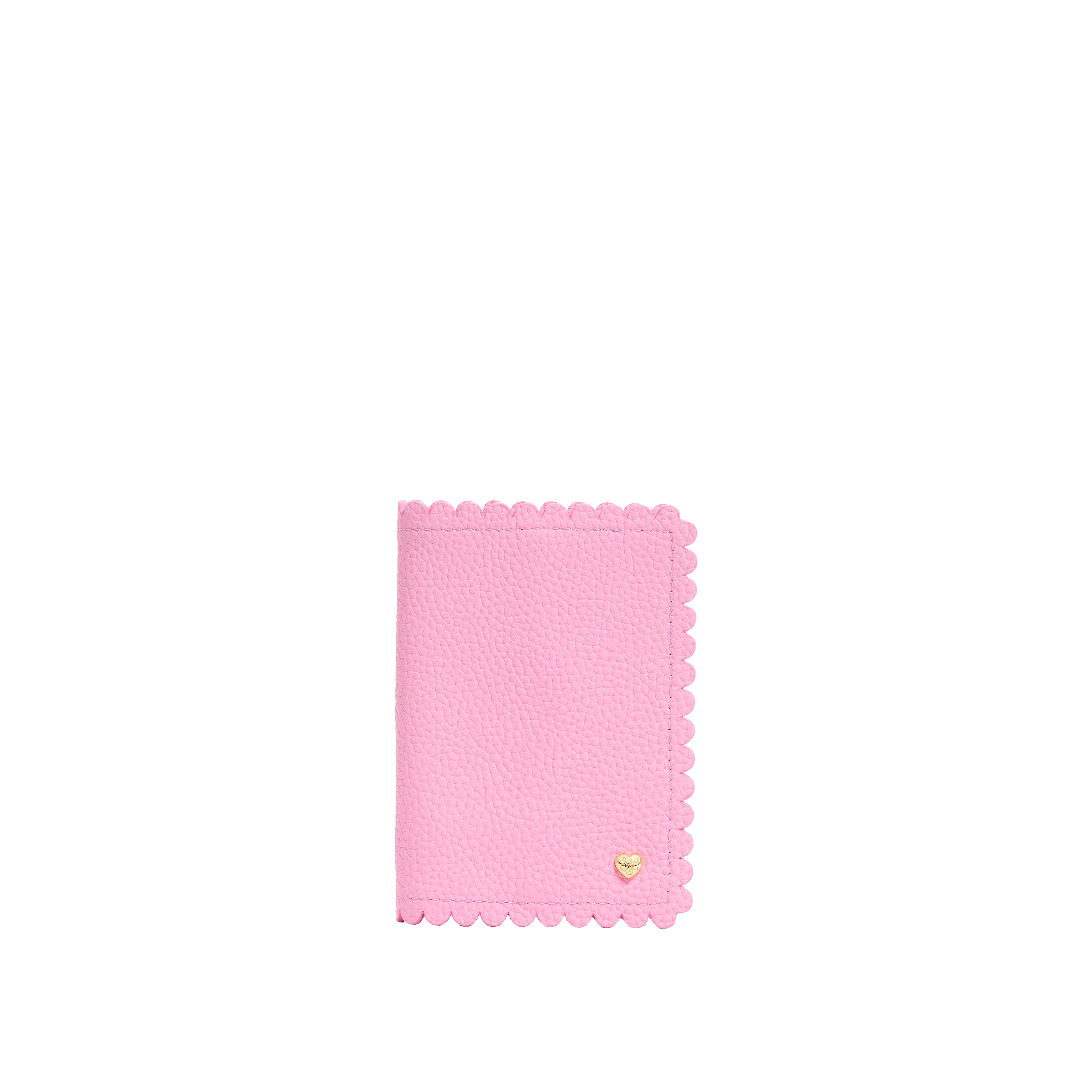 Pittsford Passport Case