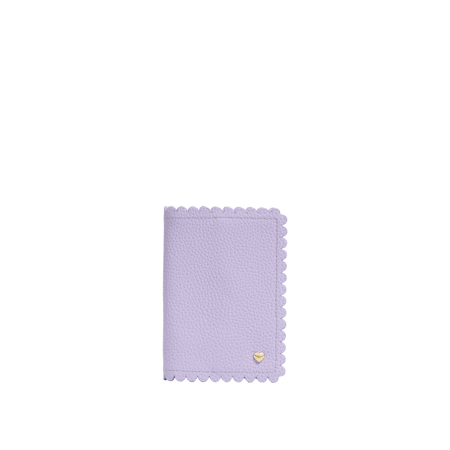Pittsford Passport Case