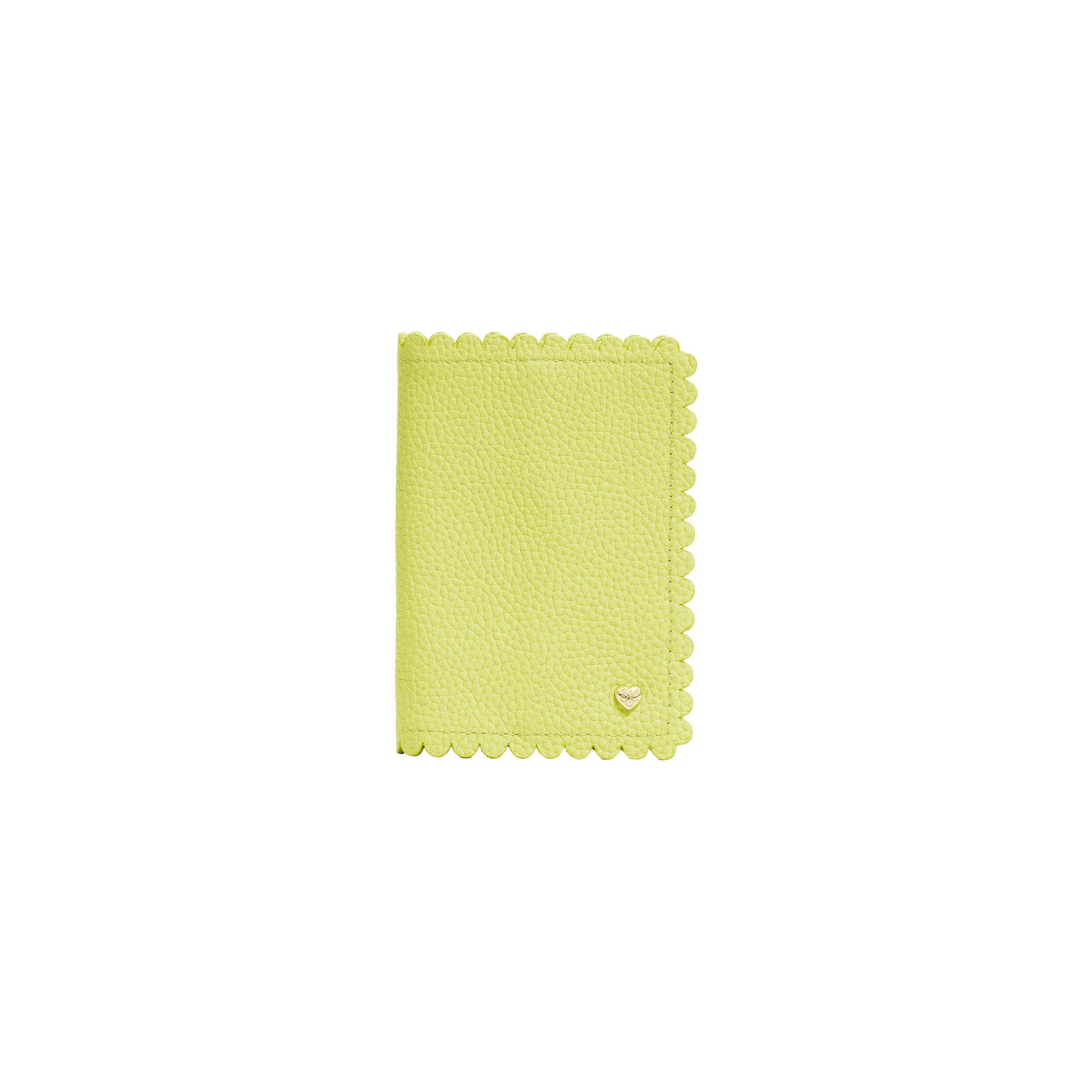 Pittsford Passport Case