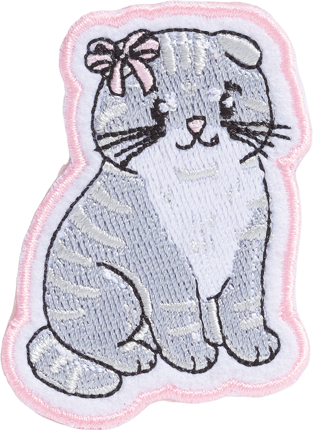 Scottish Fold Cat