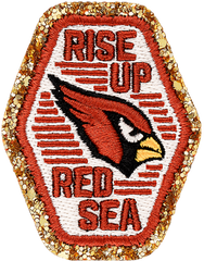 Arizona Cardinal' New Uniform Earn Diappointing Review In NFL Debut: 'Vomit Inducing - Foto 9