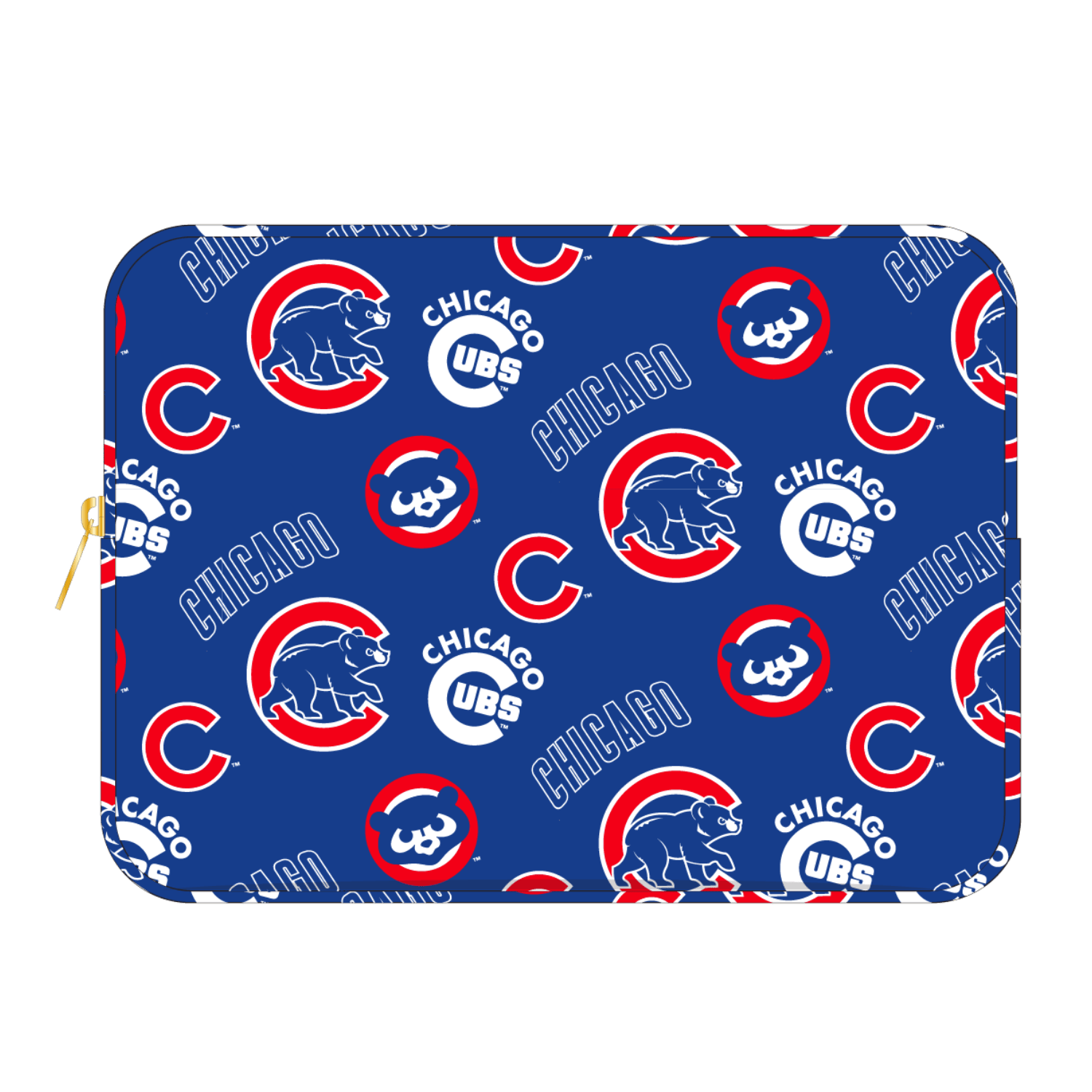 Large Pouch