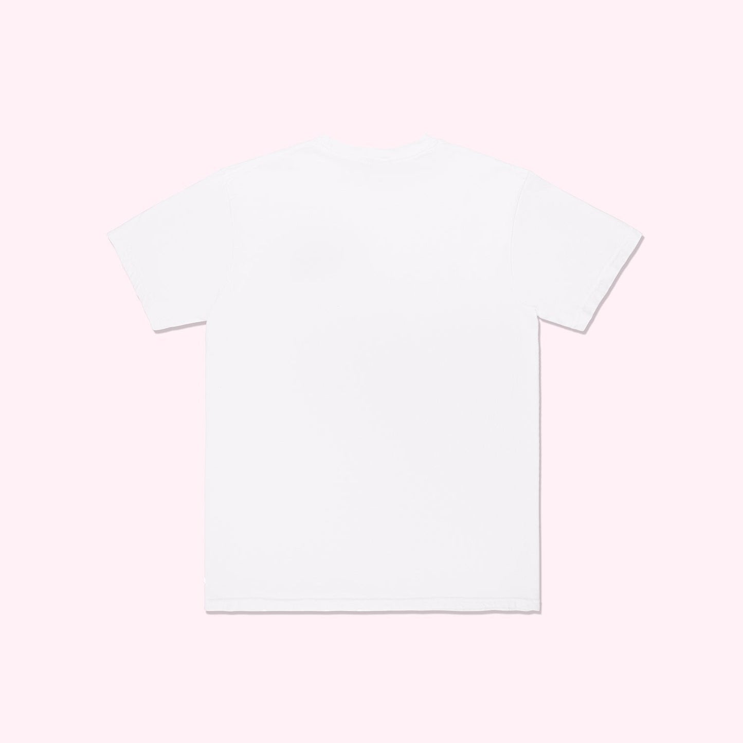 Canvas T-Shirt White SCL Anchor