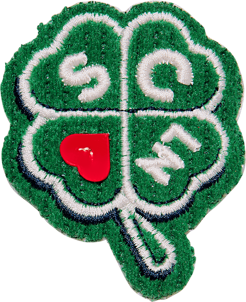 Four Leaf Clover Patch