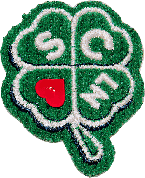 Four Leaf Clover Patch