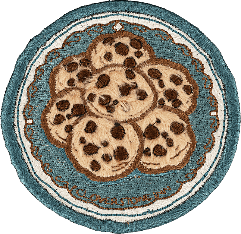 Chocolate Chip Cookies Patch